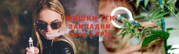 гидра Бородино
