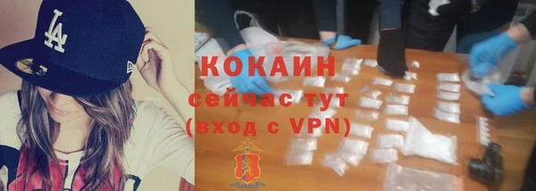 гидра Бородино