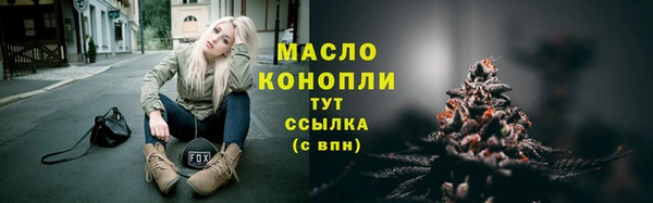 гидра Бородино