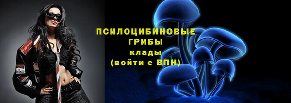 гидра Бородино
