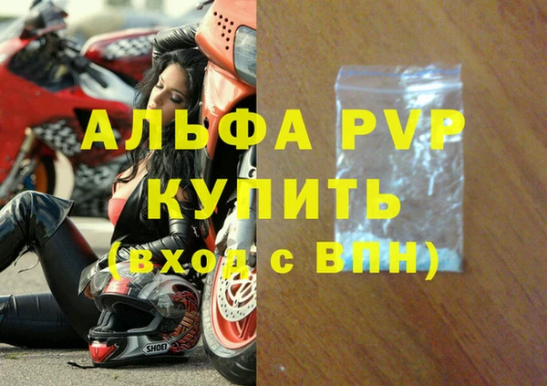 гидра Бородино