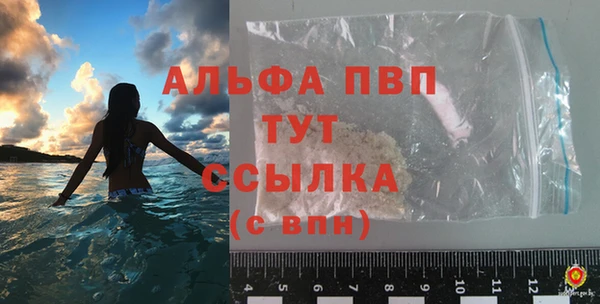 гидра Бородино