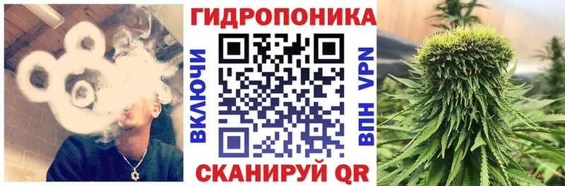 МАРИХУАНА Amnesia Монино